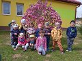 Den zeme 1