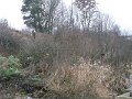 Vystavba anfiteatra  3