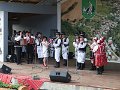 Festival  56