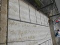 DSCN1344